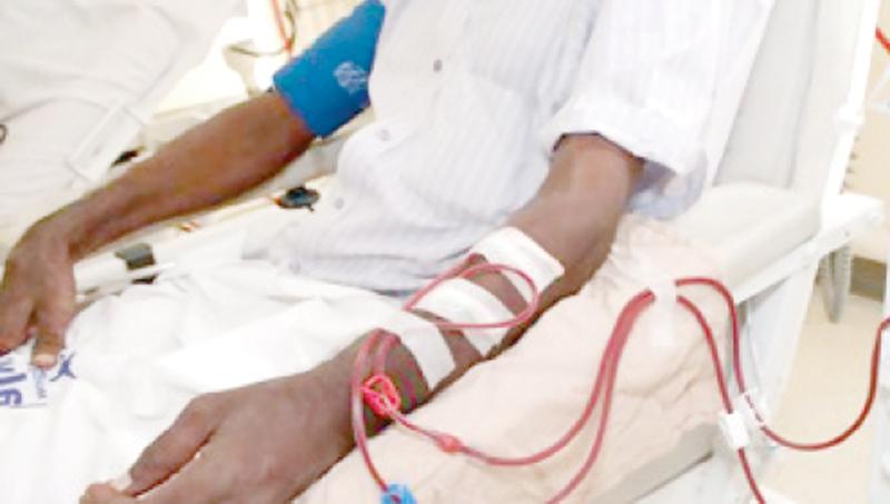 It was widely believed that the use of glyphosate (a weedicide) was causing CKD, and as a result the government took measures to ban the chemical in 2015. File picture of a patient undergoing treatment for CKD. Pic: Courtesy newsin.asia
