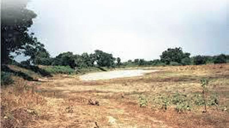 A village tank in need of de-silting