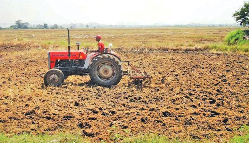 Ampara paddy lands being tilled for cultivation