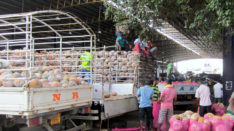 Pumpkins being unloaded at the Dambulla Economic Centre File pic