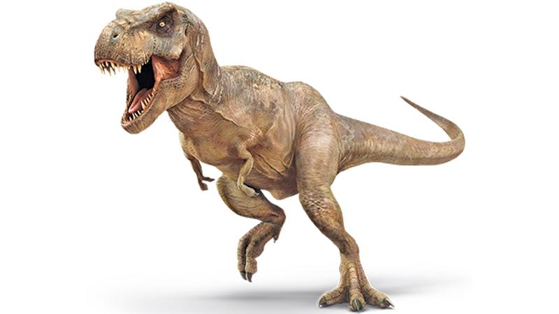 Canadian dinosaur named 'Scotty' named world's biggest T. rex