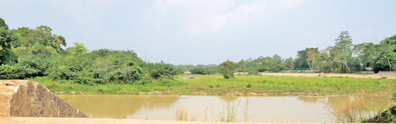 The wetlands as they now appear