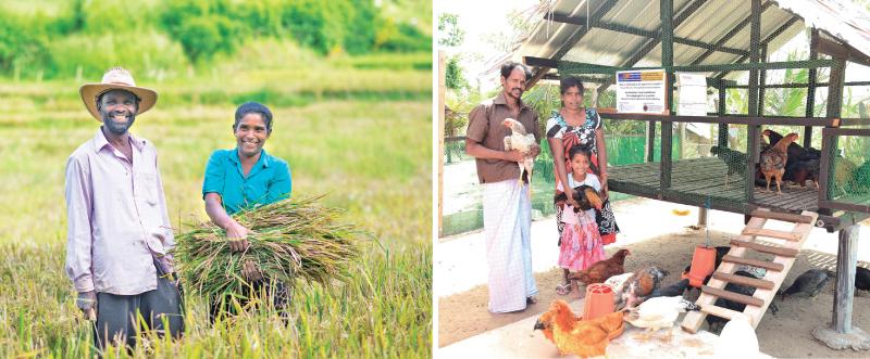 Family farmers in Sri Lanka. Pix: Courtesy FAO/Sri Lanka