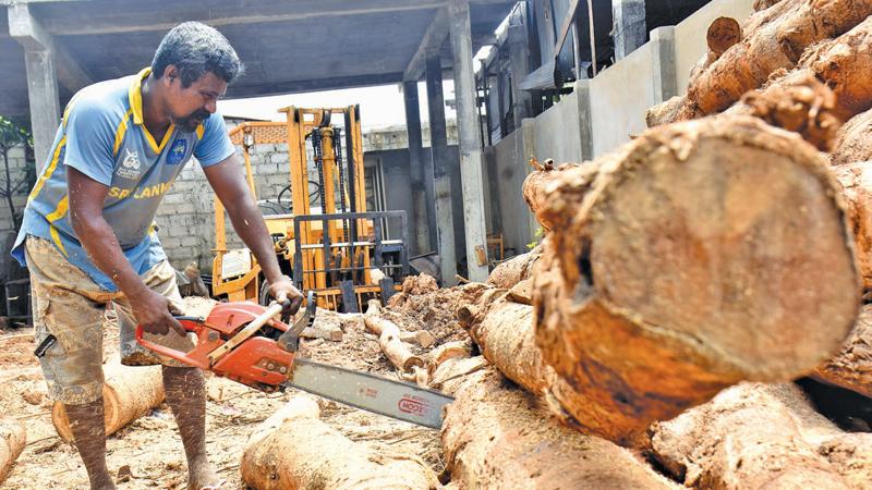 The possible ban on mobile sawmills might stymie the expansion of the industry making it a dying trade
