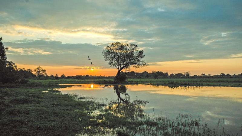 Sunrise over Somawathiya National Park