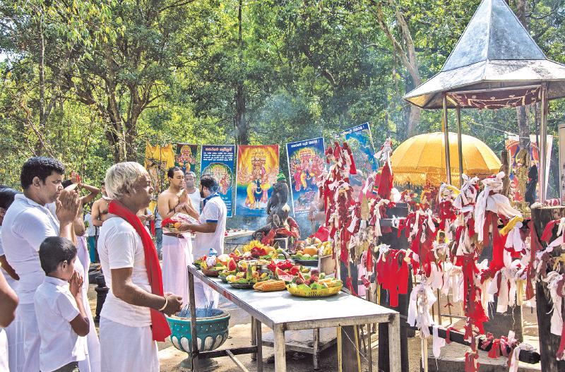 The devotees offer Pooja Vatti (baskets) with fruits and sweetmeats to God Skanda at Kebilitta shrin