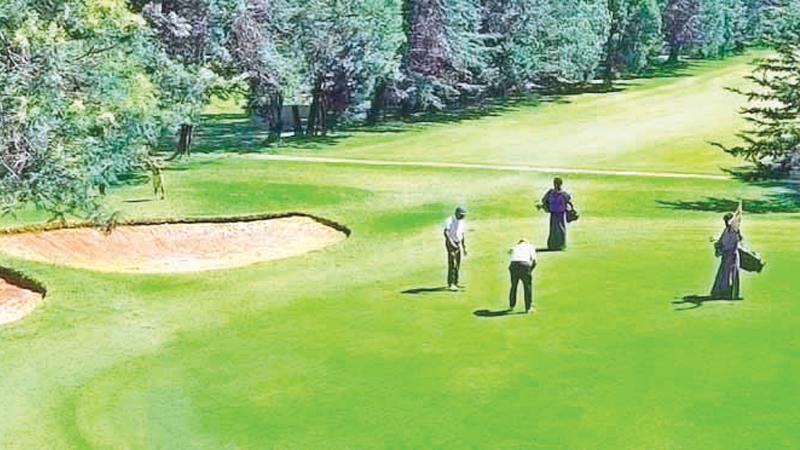 The Nuwara Eliya golf course  