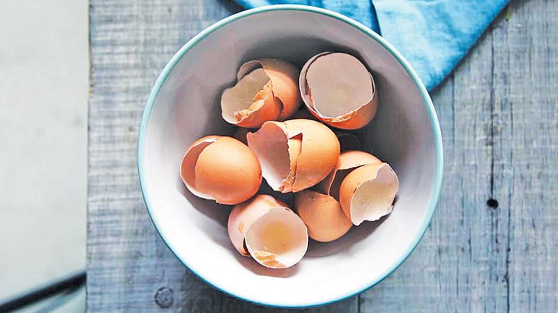 Researchers have found an innovative way of using eggshells to support new bone tissue growth.