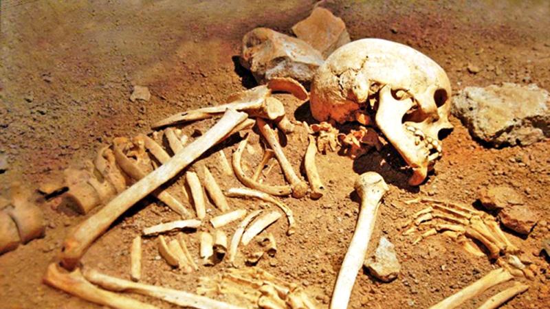 Even after death, human remains do not stop moving, researchers have found.    