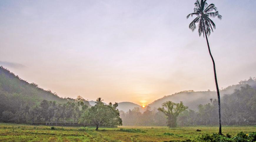 ARRESTING SIGHT: Dawn at the stretching paddy fields of Botalegama village