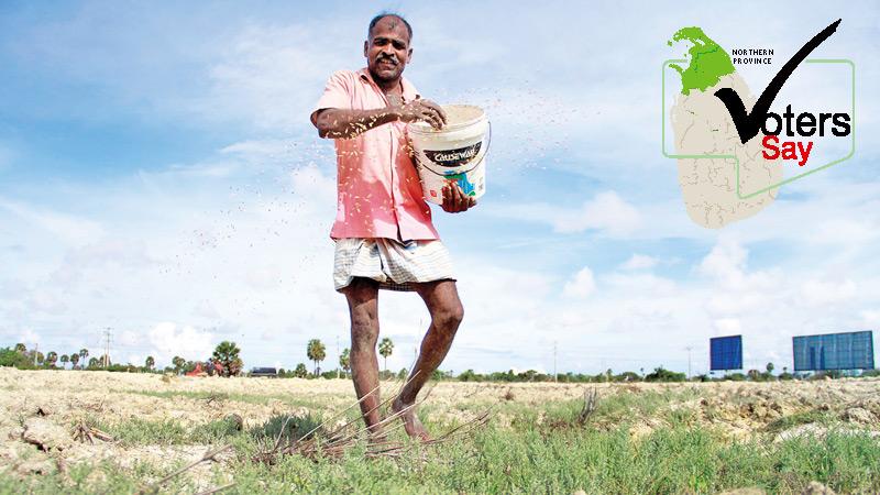 A farmer sowing the field with renewed hope of the election.
