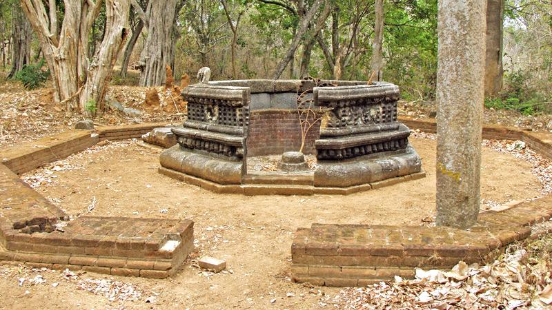 TREASURED DISCOVERY: Oval-shaped Bodhigaraya with intricate carvings at Padikemgala 