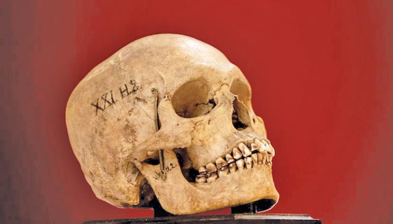One of nine human skulls thought to be more than 200 years old. Pic courtesy SWNS