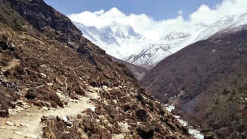 Plant life is expanding in the area around Mount Everest, such as along this footpath. (Pic: Karen Anderson/University Of Exeter The Guardian Uk)