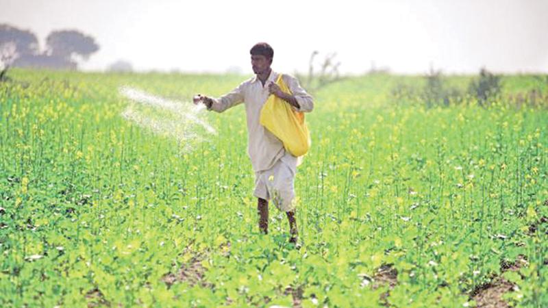 The Government provides 50 kilos of chemical fertiliser at Rs 500 to paddy cultivators through the Govi Jana Seva centres.