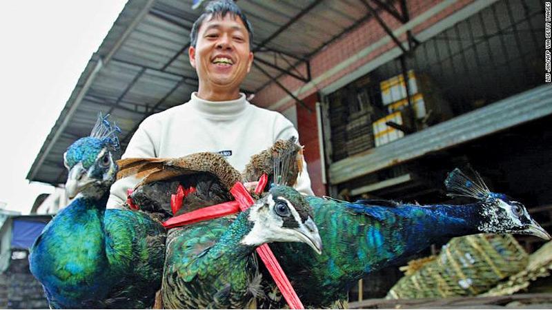 China has made eating wild animals illegal after the coronavirus outbreak. But ending the trade won't be easy
