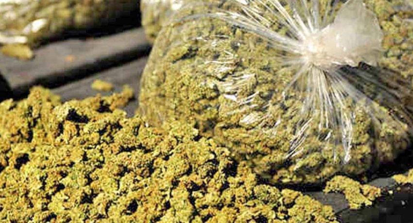 Navy Seizes 400kg Of Kerala Cannabis | Sunday Observer