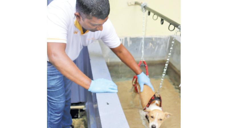 Aura receives hydrotherapy 