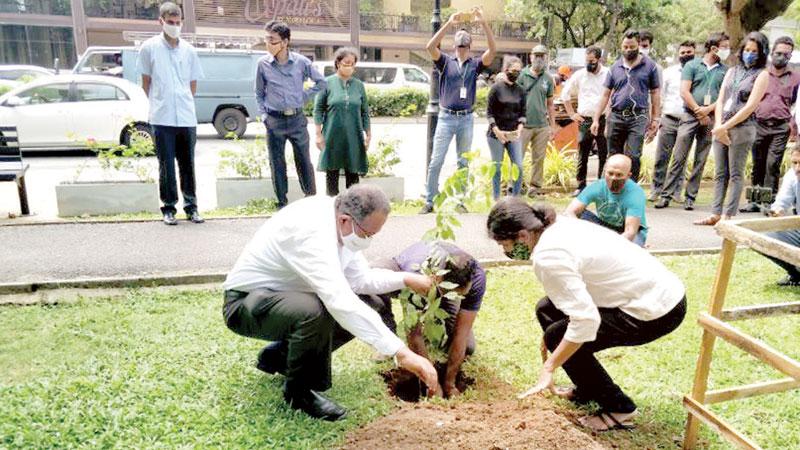 Puritas and Haycarb Managing Director, Rajitha Kariyawasan and Puritas senior management participate in a tree planting campaign.