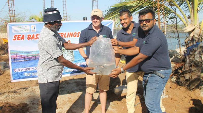 Oceanpick donates fingerlings to smallholder fishing communities