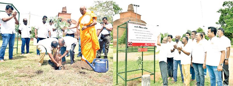 Director and CEO of Pan Asia Bank, Nimal Tillekeratne plants the first medicinal plant in the Jethavanaramaya sacred garden inaugurating the tree planting project. 