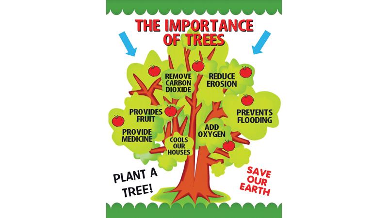 why trees are important