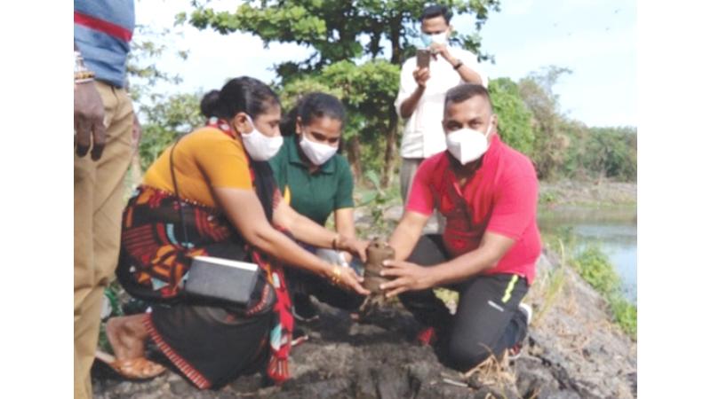 People plant a tree