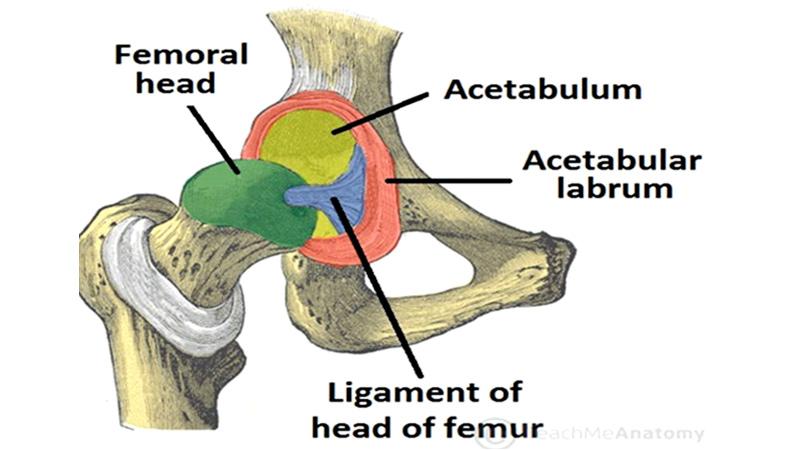 Hip Pain | Sunday Observer