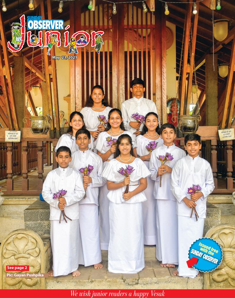 We wish junior readers a happy Vesak