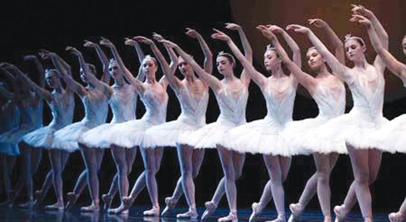 Swans in the ballet