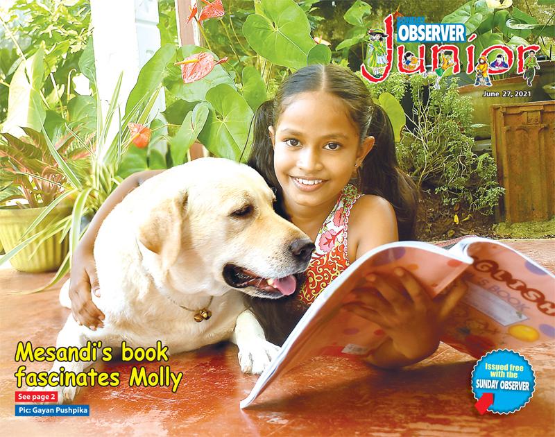 Mesandi’s book fascinates Molly