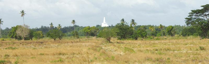 The Ruwanweli Seya seen through the Asokaramaya archaeological site