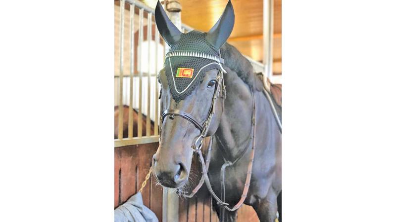 The first inspection of Matilda’s horse Chopin VA took place yesterday before they do the official round of practices today