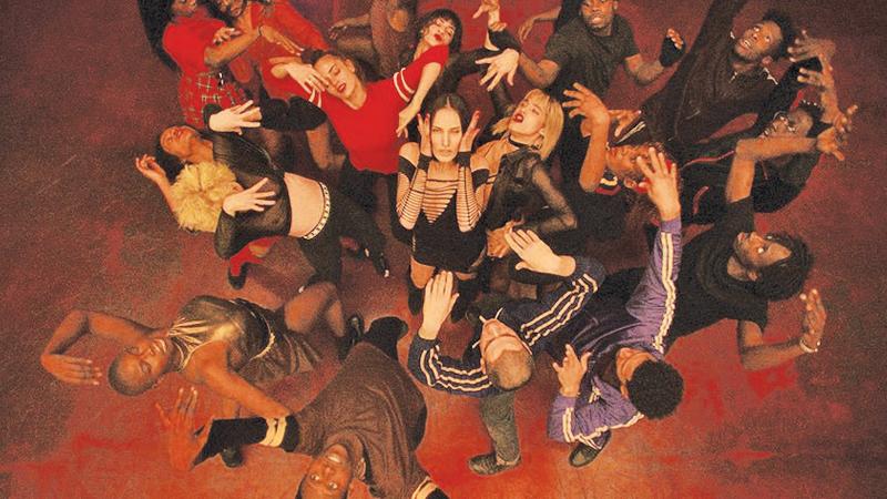 Gaspar Noé: A soulful adventurous filmmaker of our time | Sunday Observer