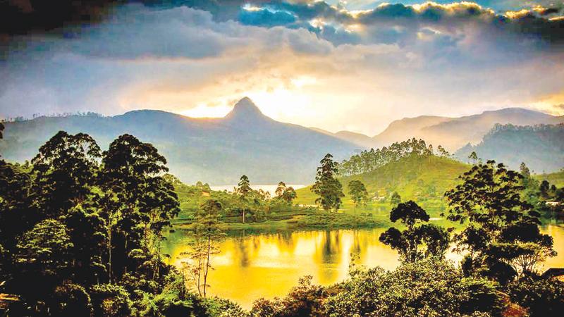 The Natural Beauty of Sri Lanka