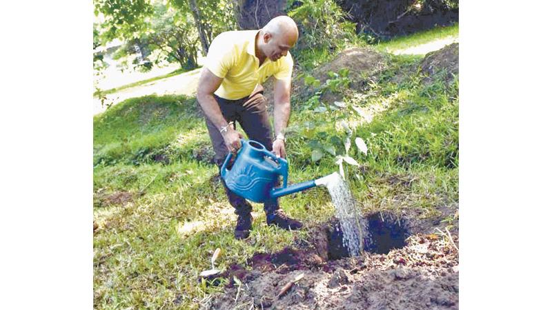 Chairman and Managing Director of Global Group of Companies, Dasun Wickramarathne plants a tree. 