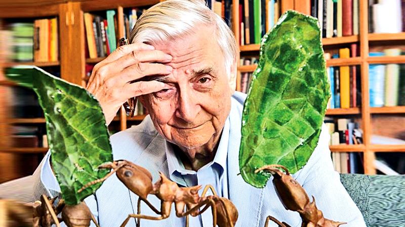 E.O. Wilson, 'Darwin's natural heir,' dies at age 92