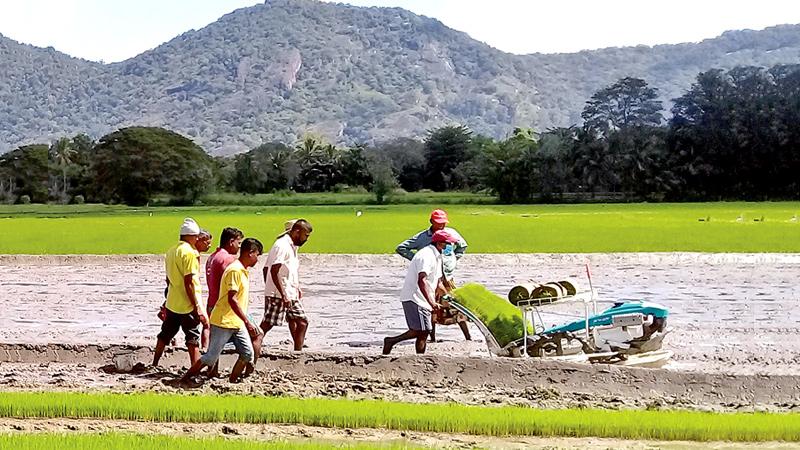 Introducing drum seeder