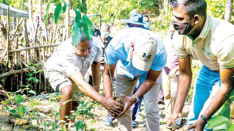 Tree planting at the launch of the project
