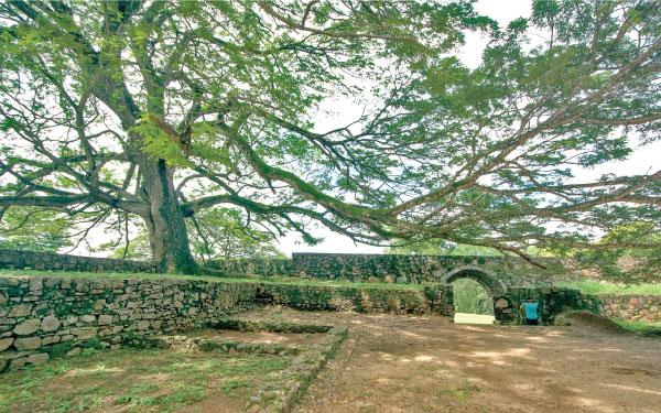 The Katuwana Fort in a green and shady setting