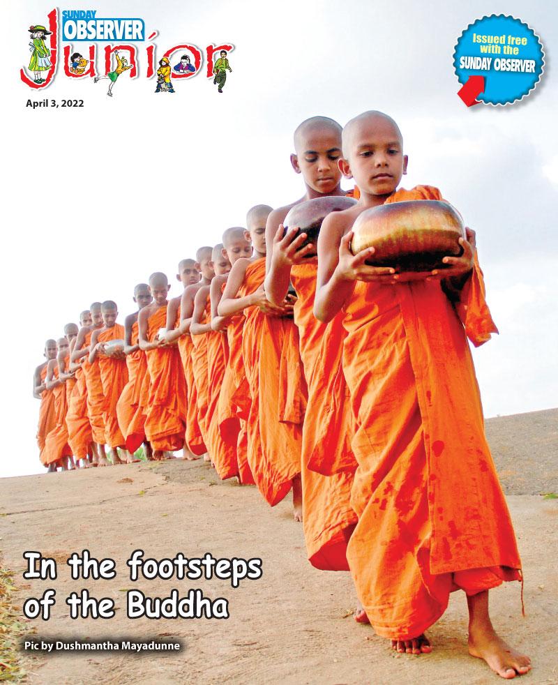 In the footsteps of the Buddha.  Pic by Dushmantha Mayadunne