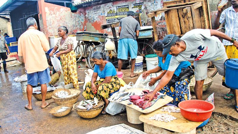 The Duwa fishing hamlet in Negombo