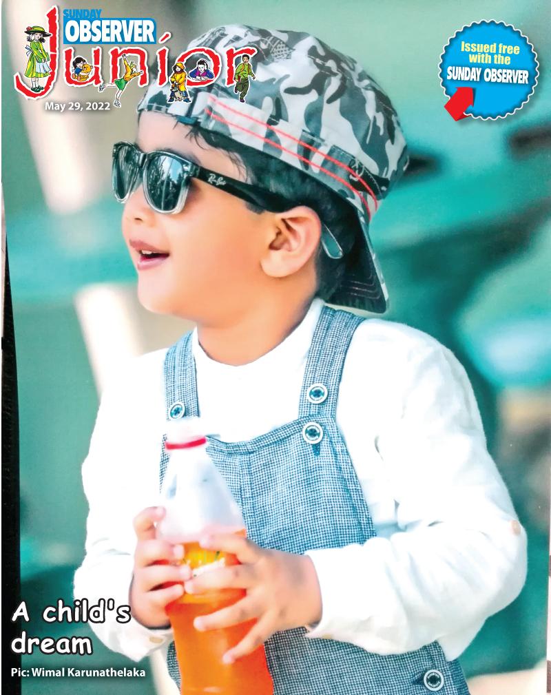 A child's dream.  Pic: Wimal Karunathelaka
