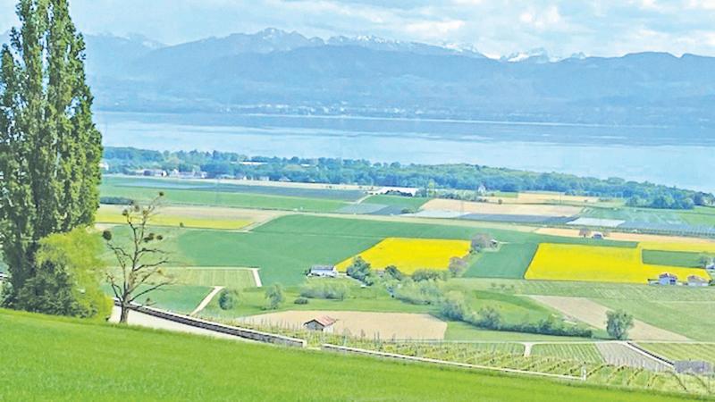 Swiss organic farming lands, a feast for the eyes