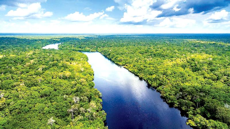 The amazing Amazon River | Sunday Observer