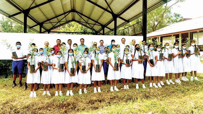 Students with Mee plants