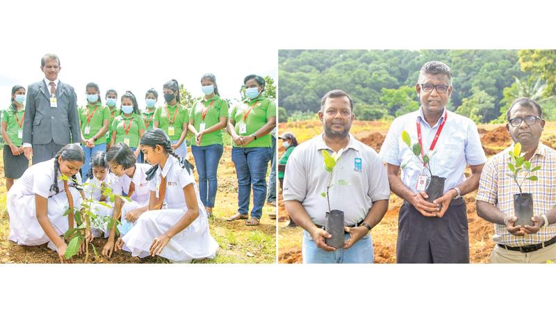 Students of Pinnawela National School planting a tree. From left - Programme Coordinator (Energy and Waste) of UNDP in Sri Lanka, Sampath Ranasinghe, Group Head, Engineering of Brandix, Ahamed Ilthimas and Conservator of Forest, Department of Forest Conservation, Nishantha Edirisinghe at the event.