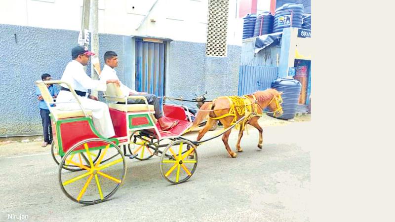 A Catholic priest from Bishop’s House Jaffna travels on his pony carriage as a result of fuel shortage. The pony is brought down from Delft Island where the animals are found in abundance from the time of the Dutch era