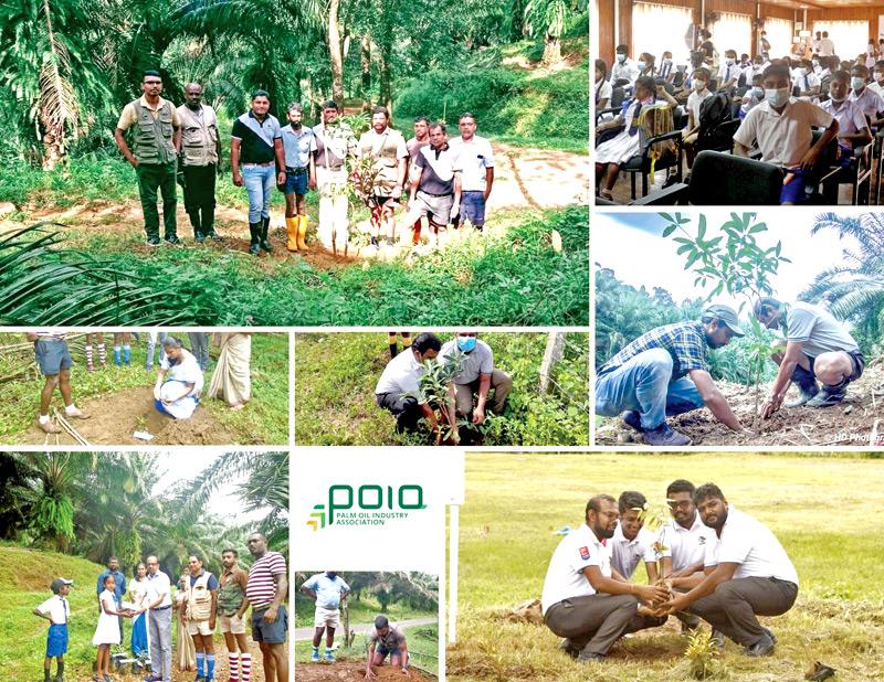 POIA plants trees to mark World Environment Day | Sunday Observer