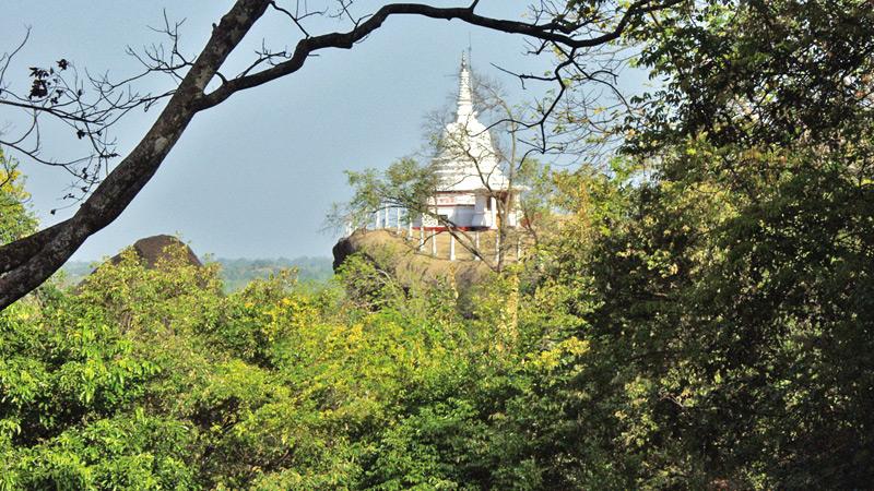 The Dagaba built on the rock boulder of adjoining the Budugala temple seen through  the forest of the Budugala hermitage